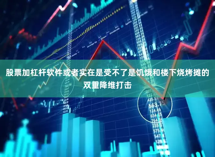 股票加杠杆软件或者实在是受不了是饥饿和楼下烧烤摊的双重降维打击