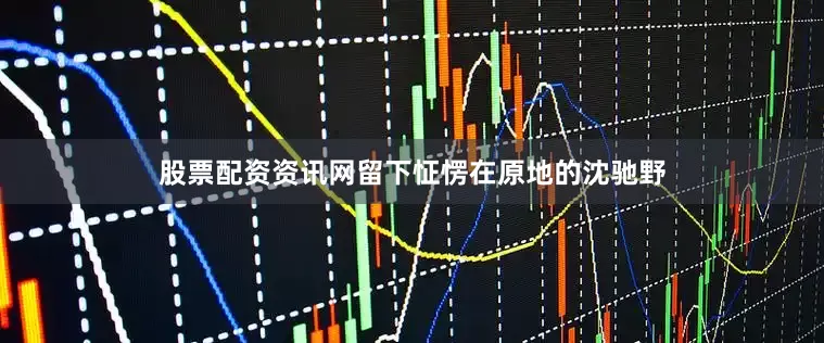 股票配资资讯网留下怔愣在原地的沈驰野