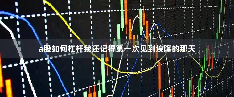 a股如何杠杆我还记得第一次见到埃隆的那天